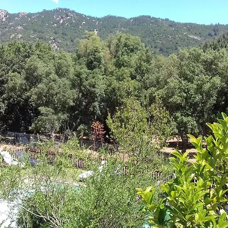 Albareddu كونكا