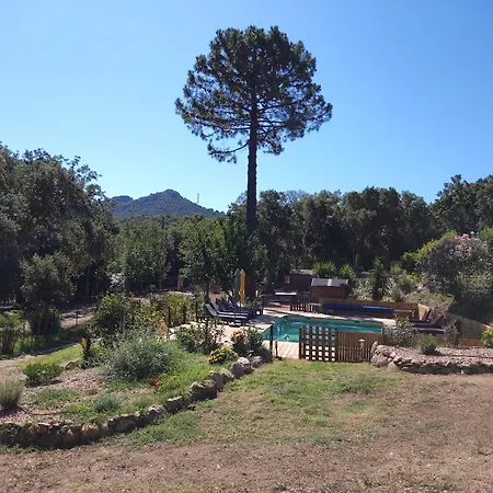 アパート Albareddu コンカ